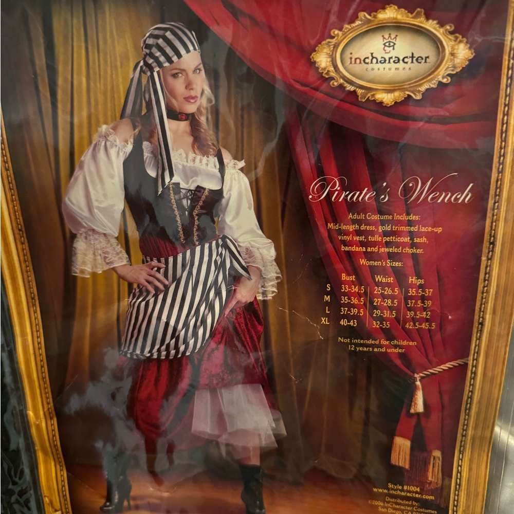 Women’s (gently used) Pirate Wench costume.